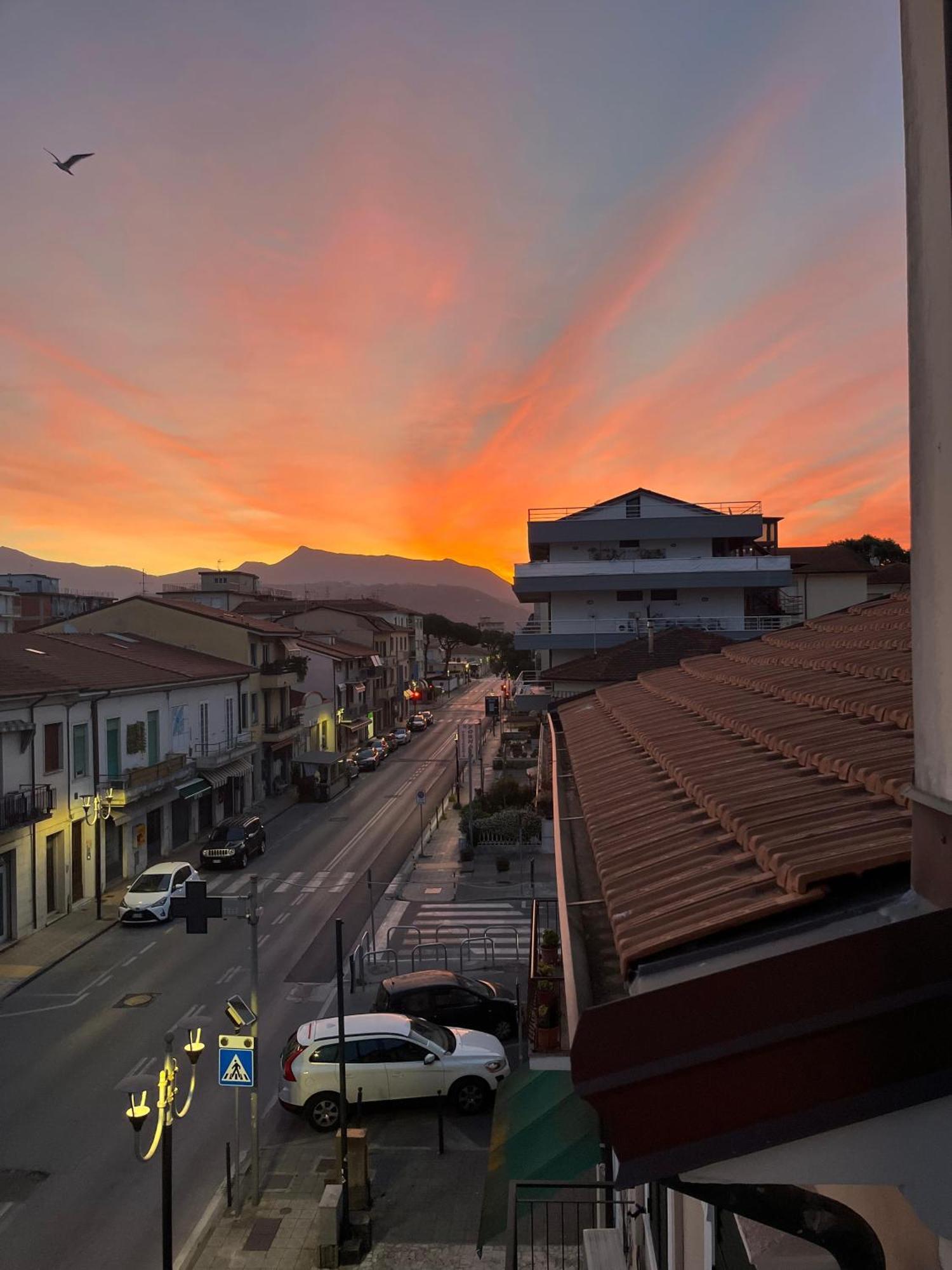 Appartamento Marco Polo Viareggio Eksteriør bilde